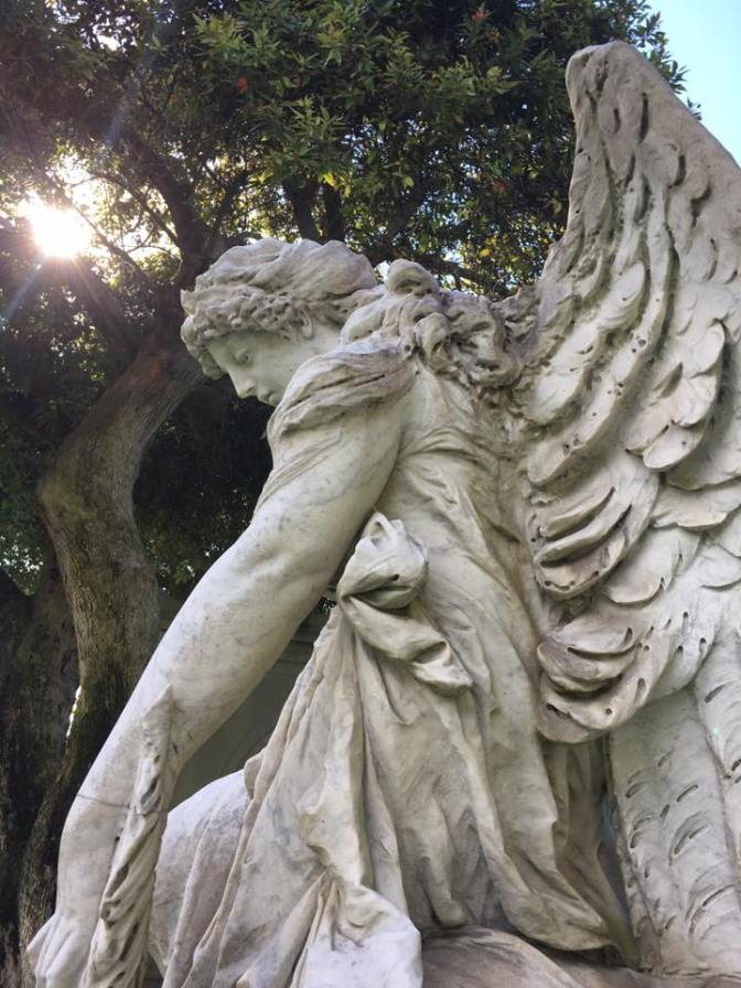 14992040_10209176664587552_1570629824827570274_n