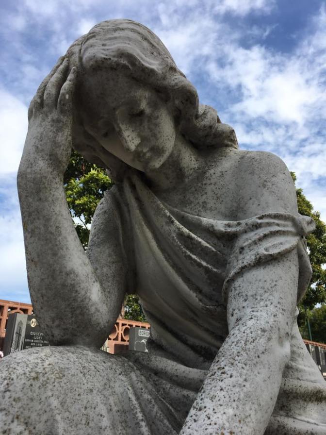 15036555_10209176663587527_1028628276436441580_n