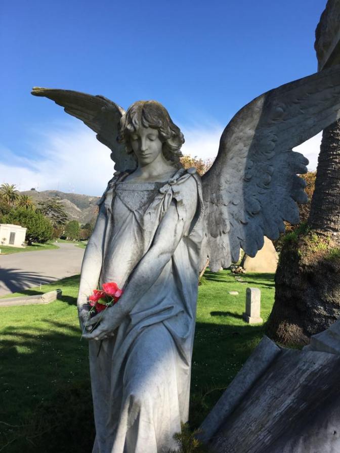 15055734_10209176665627578_2056507004674640157_n