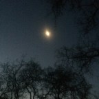 Strange Strangers on a Full Moon Night