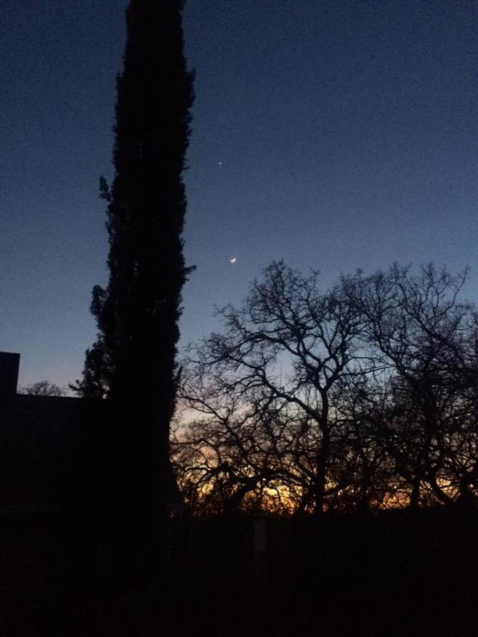 16266044_10209932054877120_6610561884342901718_n