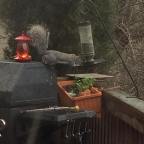 Anger, Inspiration, Parenting, and Those WTF Days.