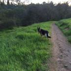 The Road More Or Less Traveled