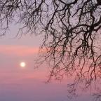 Werewolf Moon, A Bottle of Wine, and Conversations With a Friend