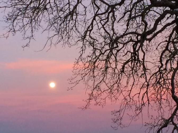 Moon Rise Walk, Orangevale, CA