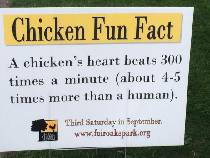 21463031_10211963177813924_6960043293724195657_n