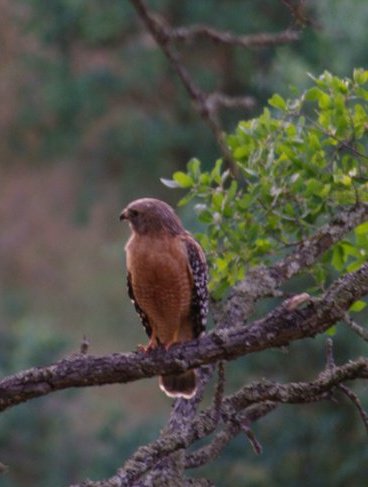 250914_1813703541483_1630904_n