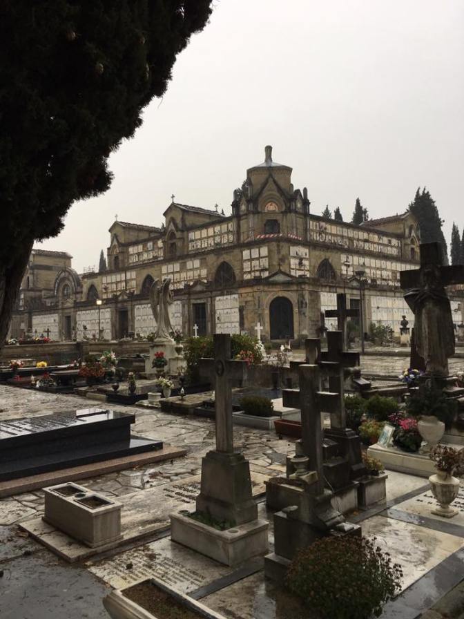 26220078_10212855304836542_6433028331430450479_n