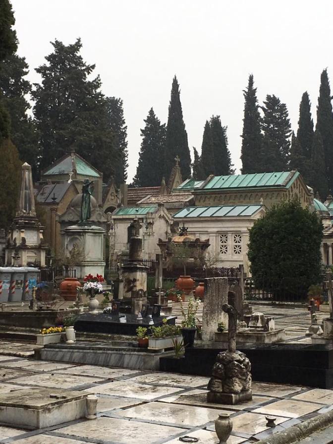 26229974_10212855304396531_5362361404976923240_n