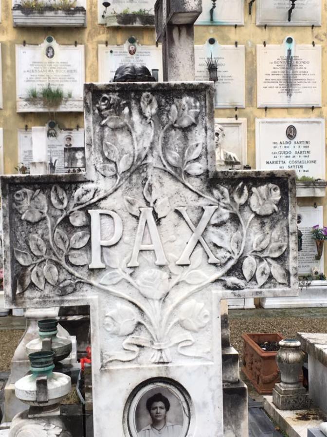 26230134_10212855298316379_7120235551191506739_n