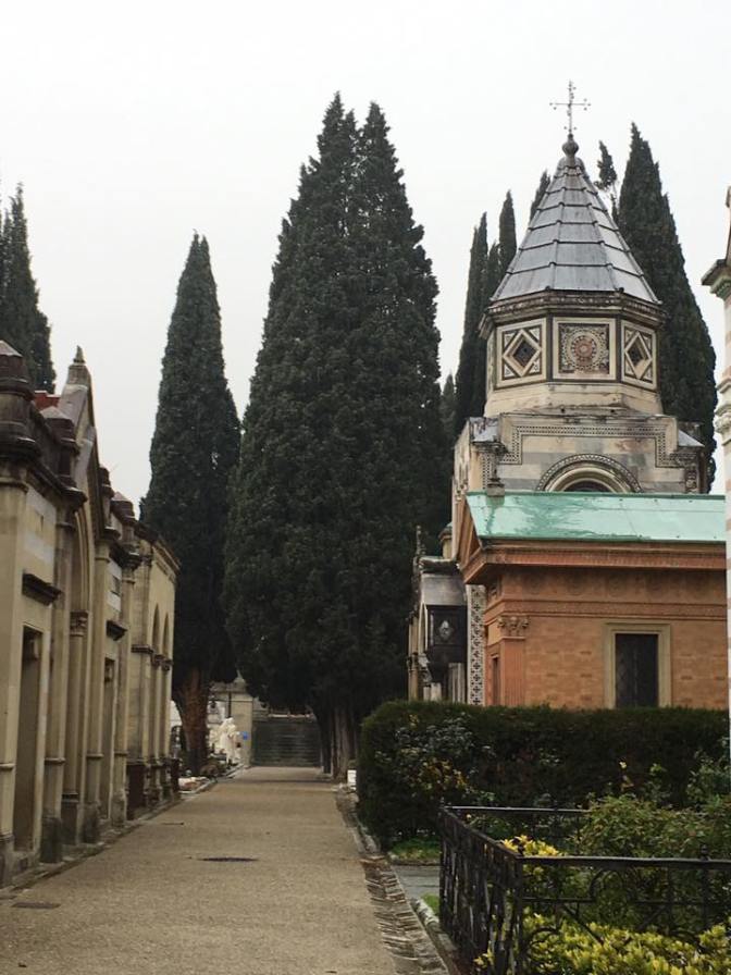 26804857_10212855298556385_779950847361261615_n