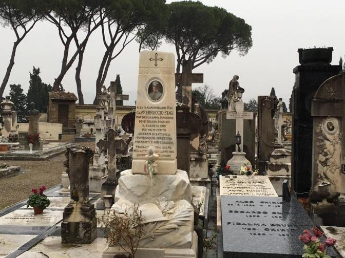 26804957_10212855301156450_7798444550370430898_n