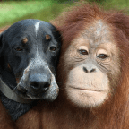 Burning Question #4: Is Love Blind?