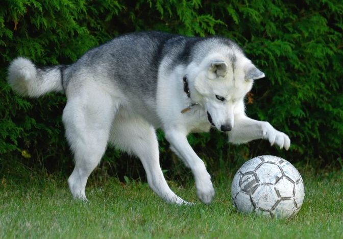 7e3822974338b48dbd85fe87391b3fbe