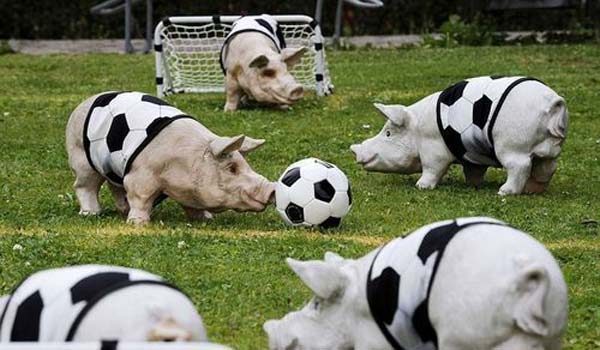 funny-animals-playing-soccer-football-001