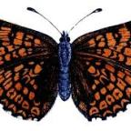 Love of a parent never wavers or dies – a story of a father and son