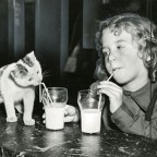 Burning Question #19: Drinking Holes