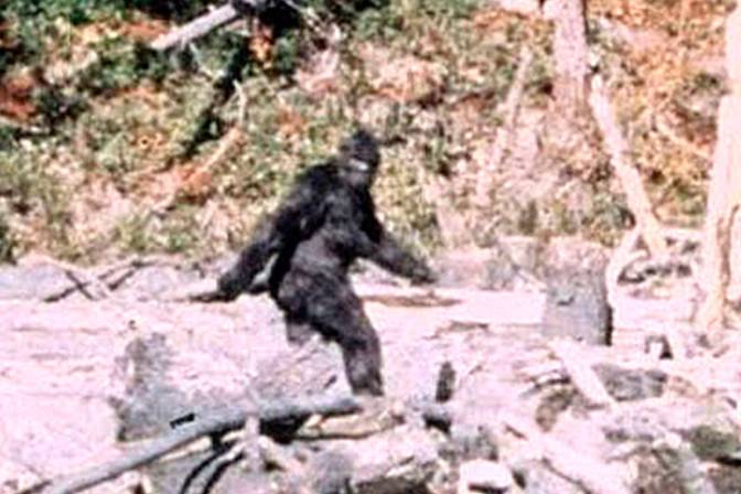 10544614_web1_180216-POI-T-Sasquatch