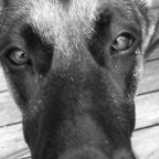 Black and White Morning