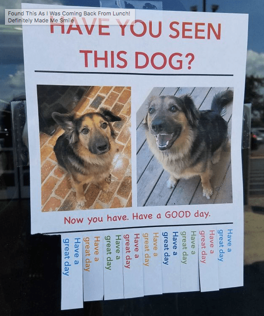 Screenshot-2018-08-08-03.35.04