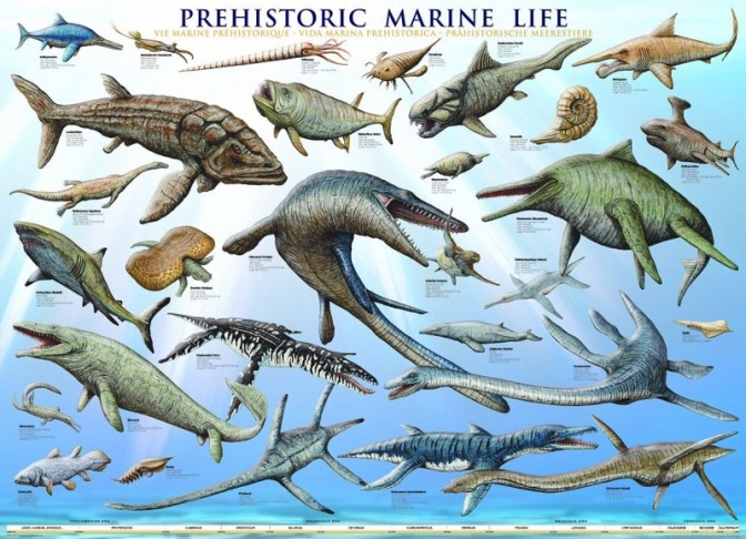 sea-life-poster-800x579