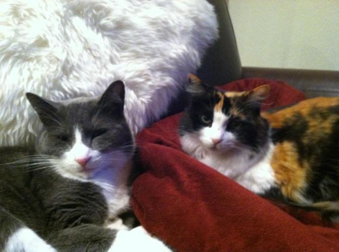 537185_4539715610081_1152566854_n