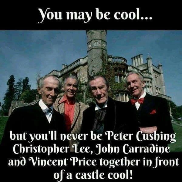 55939905_2146281788813073_1975370156532039680_n