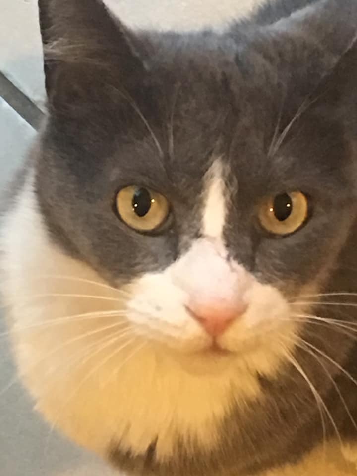 52823467_10215880344020631_3188911860346781696_n