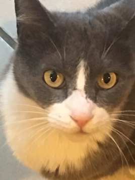 52823467_10215880344020631_3188911860346781696_n