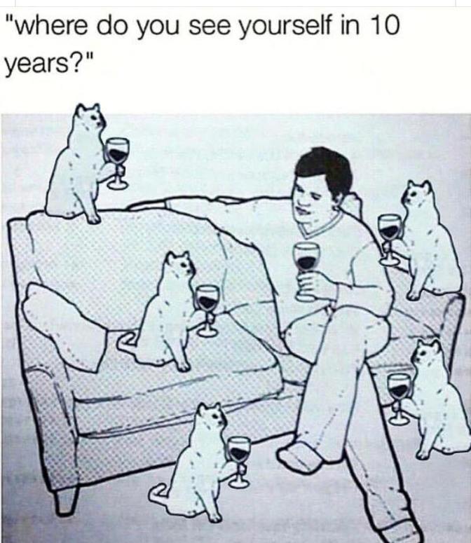 29542950_10155614270963869_3830585407132555449_n