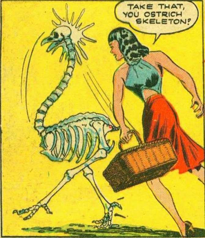 49753014_10217459003777239_3805626935933927424_n