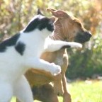 Just talking about teens (Boys are Stupid: Part 28)