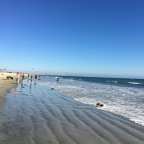 Sickening Sweet and Predictable