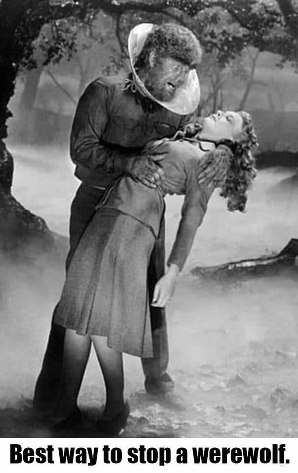 73217461_974076289592030_6742356613220270080_n