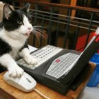 Questions to ask as a writer in 2020: What about everything that is going on now? Will it change my story?