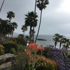 Musings on Murder, Summer Romance, And Parenting