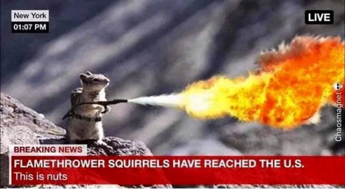 96795876_10222320092892162_498227218632146944_n