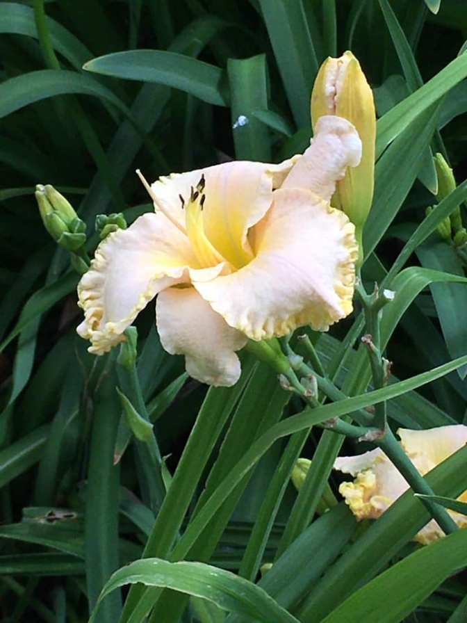 103154030_10219848234335409_7825273738816938462_n