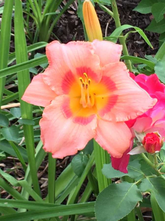 103663037_10219848229295283_6802009120730320632_n