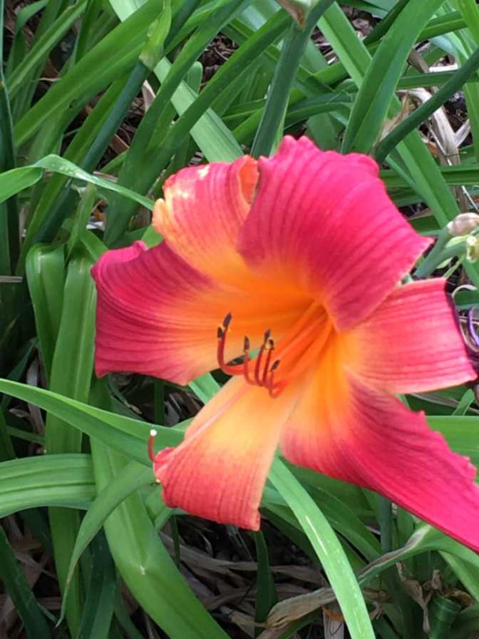 103829996_10219848229535289_7752391711689584692_n