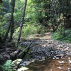 Poetry, Ghosts, and Vampires