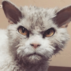 Dear Professional Celebrity Moms: Just Shut The F Up.