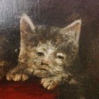 Random Thoughts Around The House With Cats