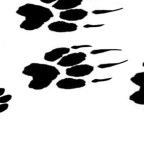 A Puppy for Christmas