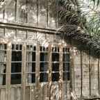 Tangled Tales: Ashes