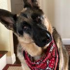 Flirting with a good looking guy in a red truck