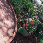 When Bad Things Happen to Good People (and sometimes you’ll laugh out loud about it later)