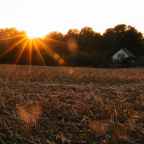 Flickering Lights and Holiday Horrors (or I would have rather have been wrapping presents and writing a Christmas story but I had to do something more important.)