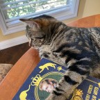 A birthday, a book, and a 700 year old Vampire and his cats