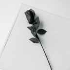 The List (A Sort of Halloween Story)